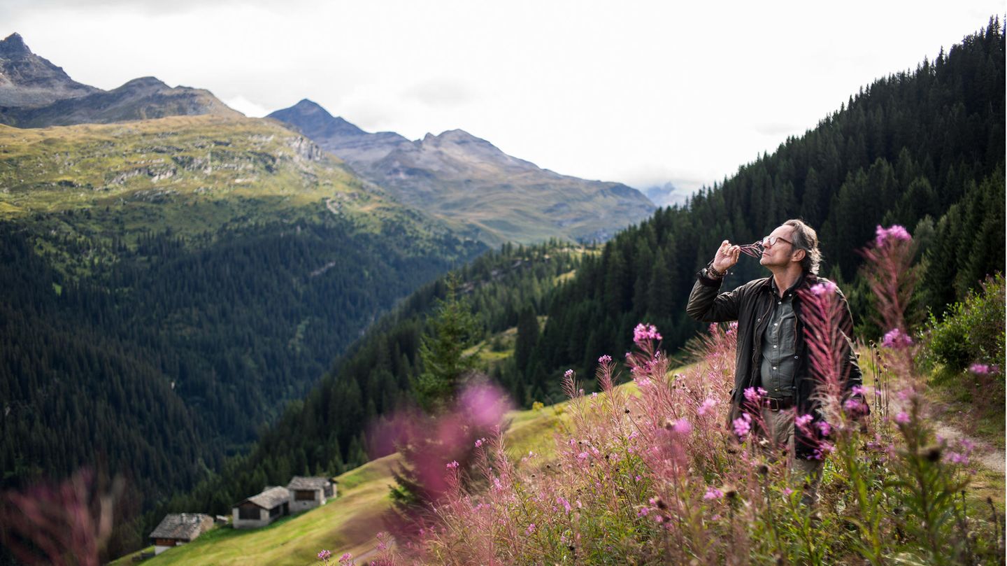 Schweiz: Immer der Nase nach durch die Alpen: Unterwegs mit dem ersten Bergluftsommelier