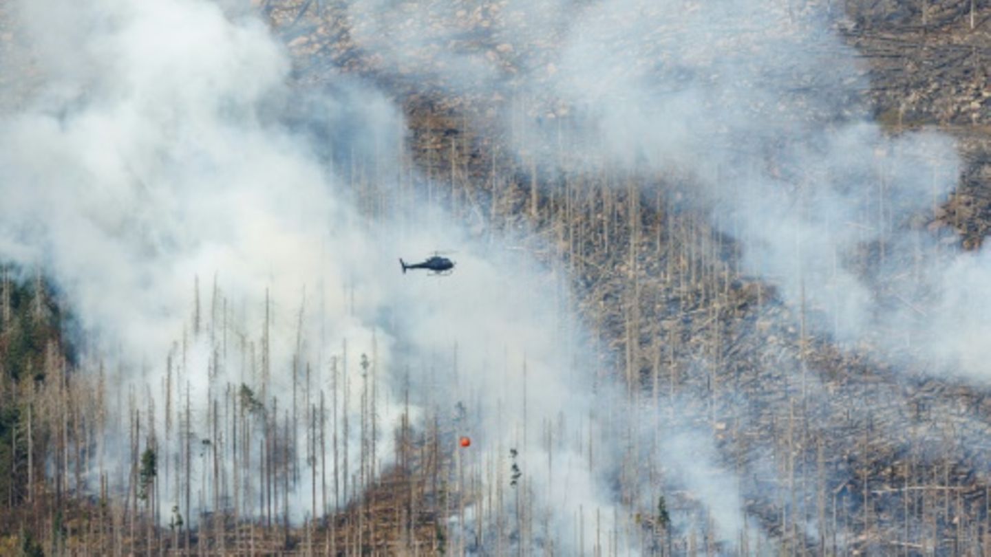 Großfeuer am Brocken: Löscharbeiten werden über Nacht eingestellt