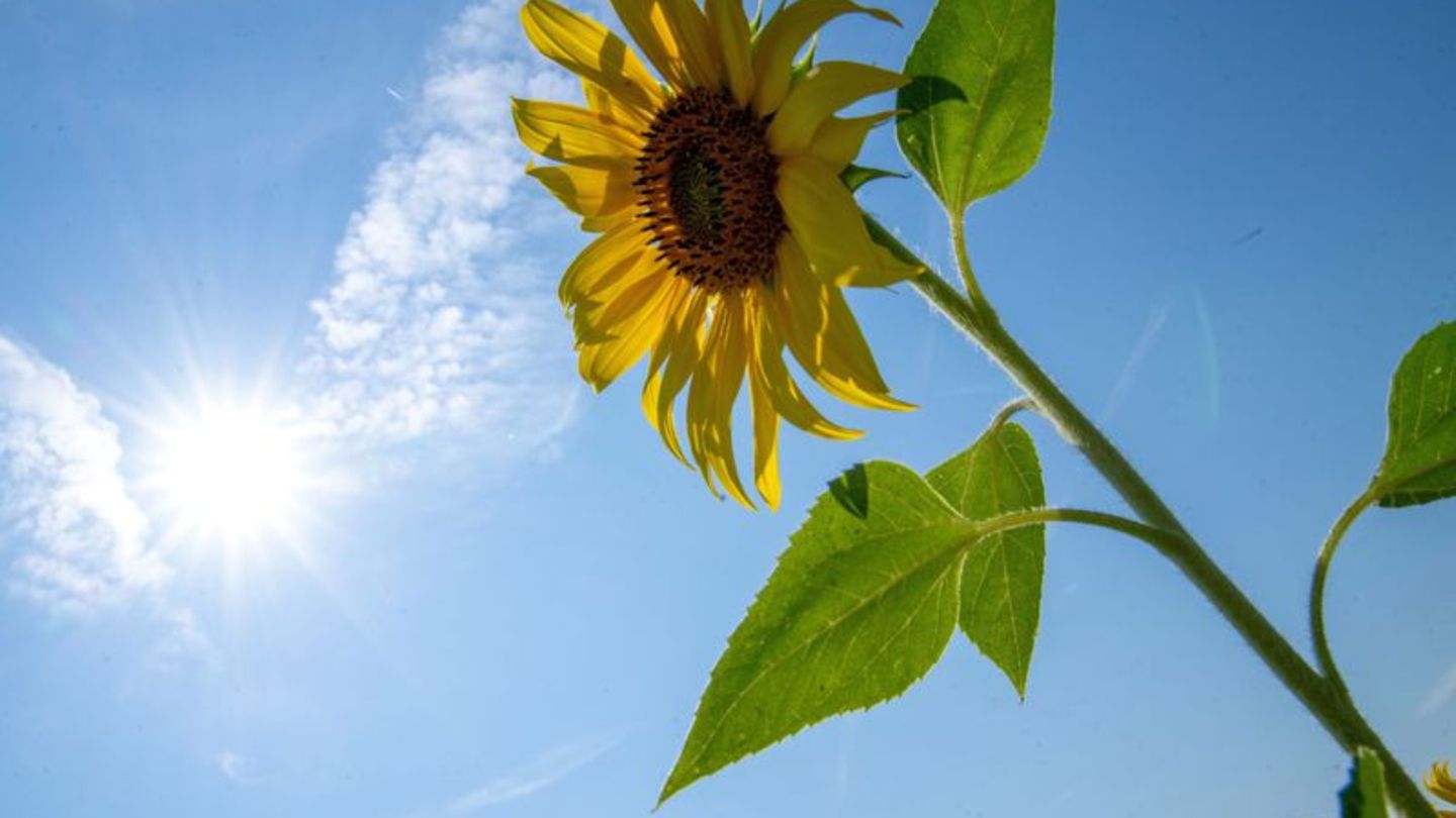 Wetter: Ruhiges Spätsommerwetter in Hessen