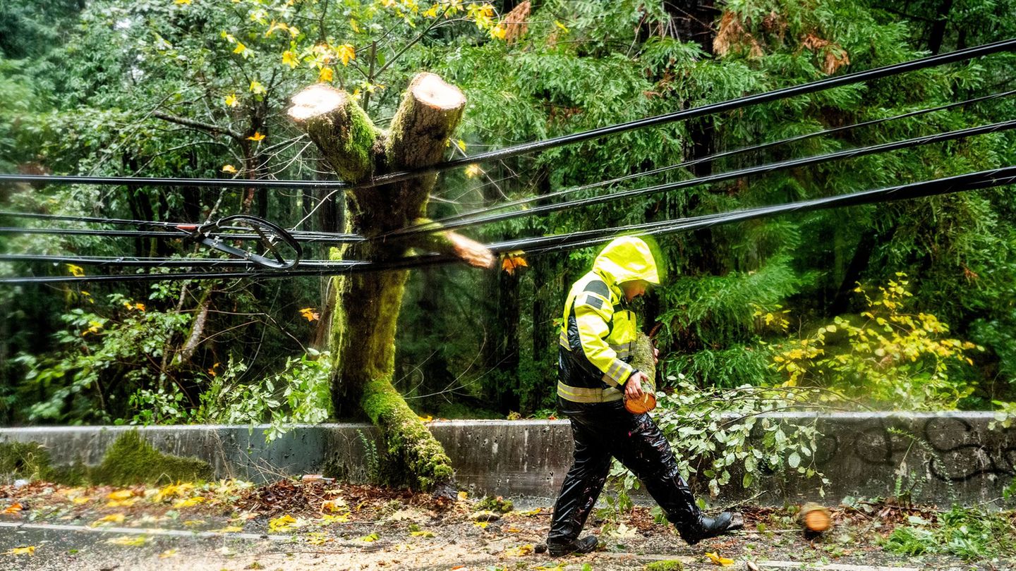 Unwetter: Heftiger Sturm an US-Westküste – Hunderttausende ohne Strom